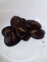 Load image into Gallery viewer, Cococa